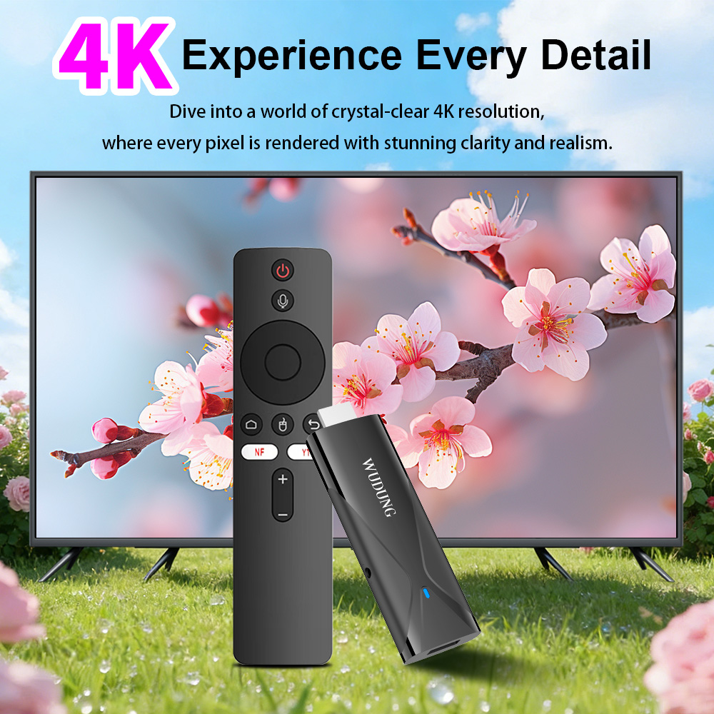 Netflix Home Cinema - ТВ-приставка WD08 PRO Android 10 Allwinner